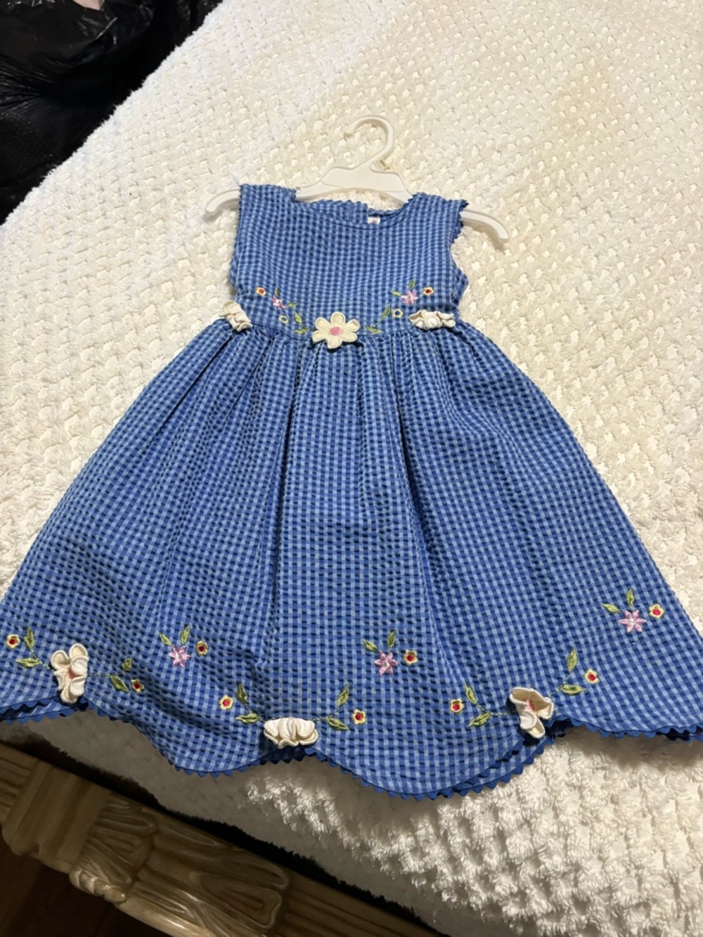 Youngland Blue Gingham Dress with Floral Appliqués